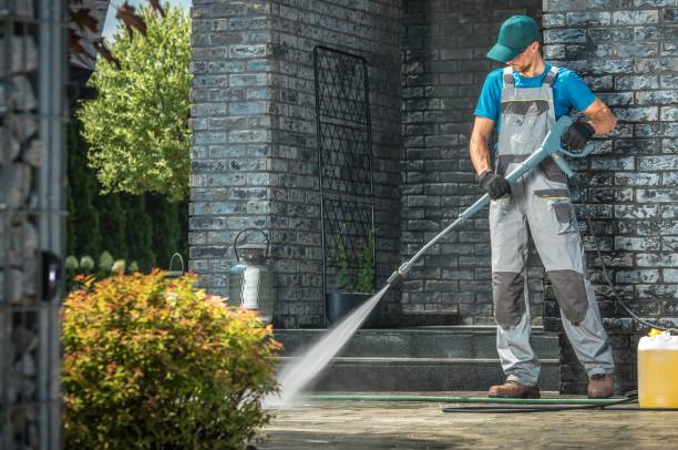 Best Graffiti Removal  in Tropical Park, FL
